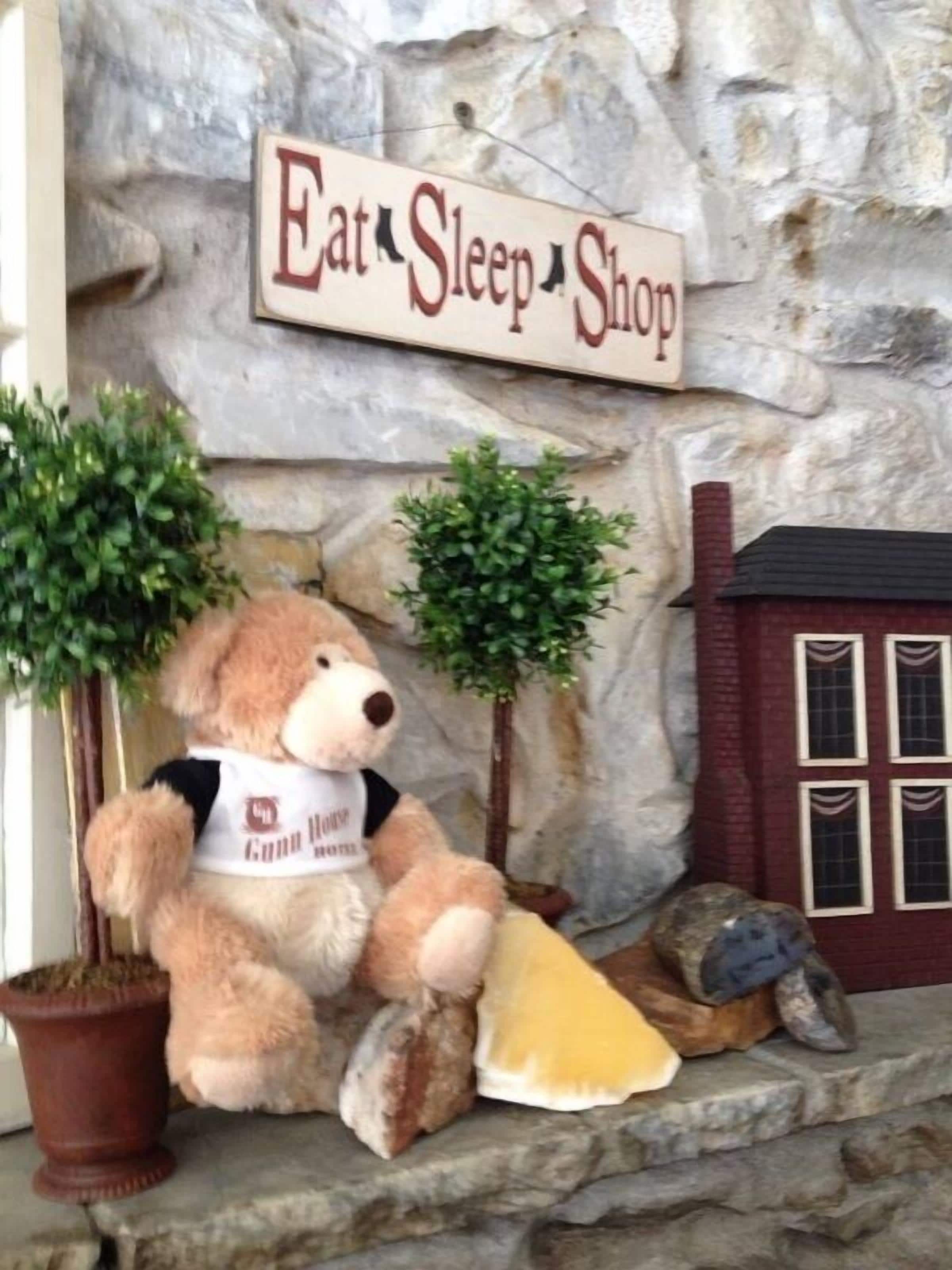 A teddy bear sitting on a stone ledge with a sign above it that reads "Eat Sleep Shop."