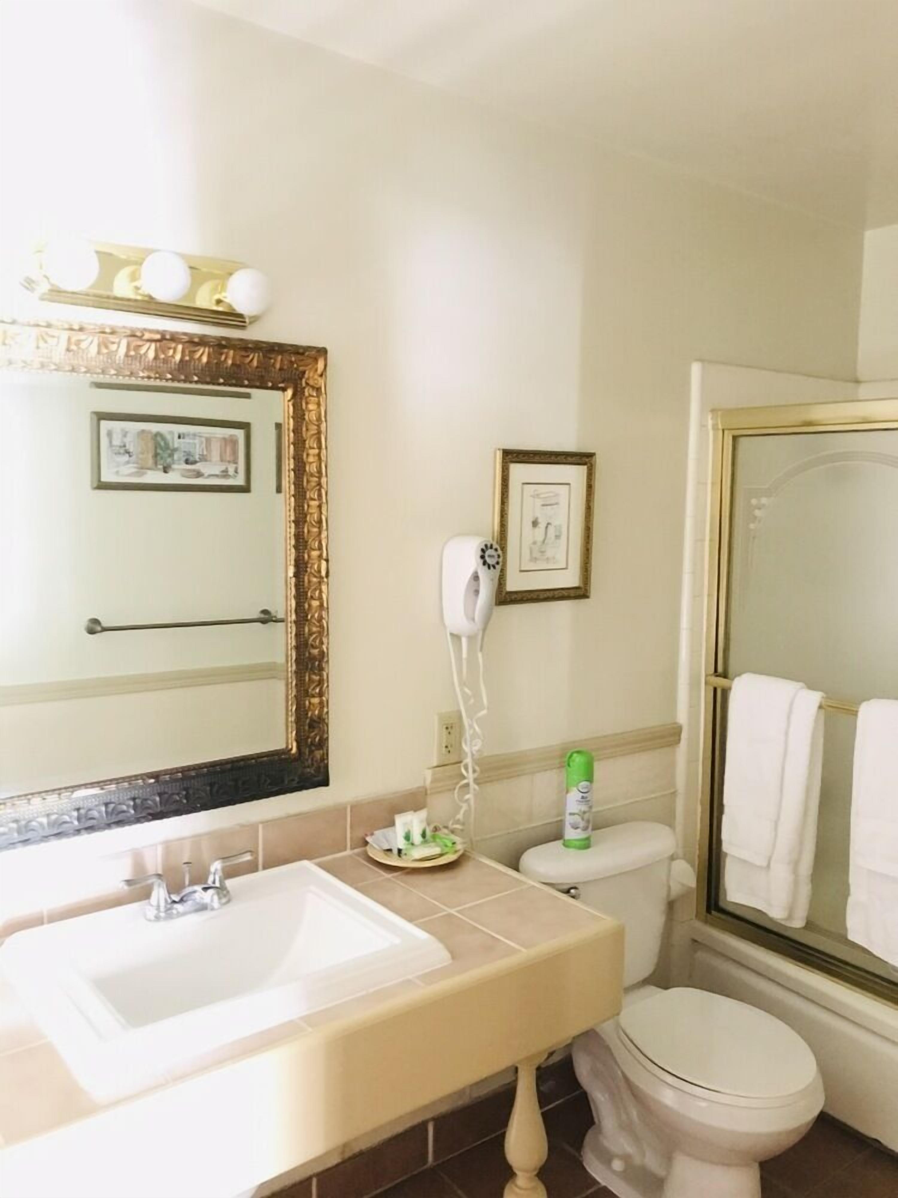 A bathroom with a sink, mirror, toilet, and shower.
