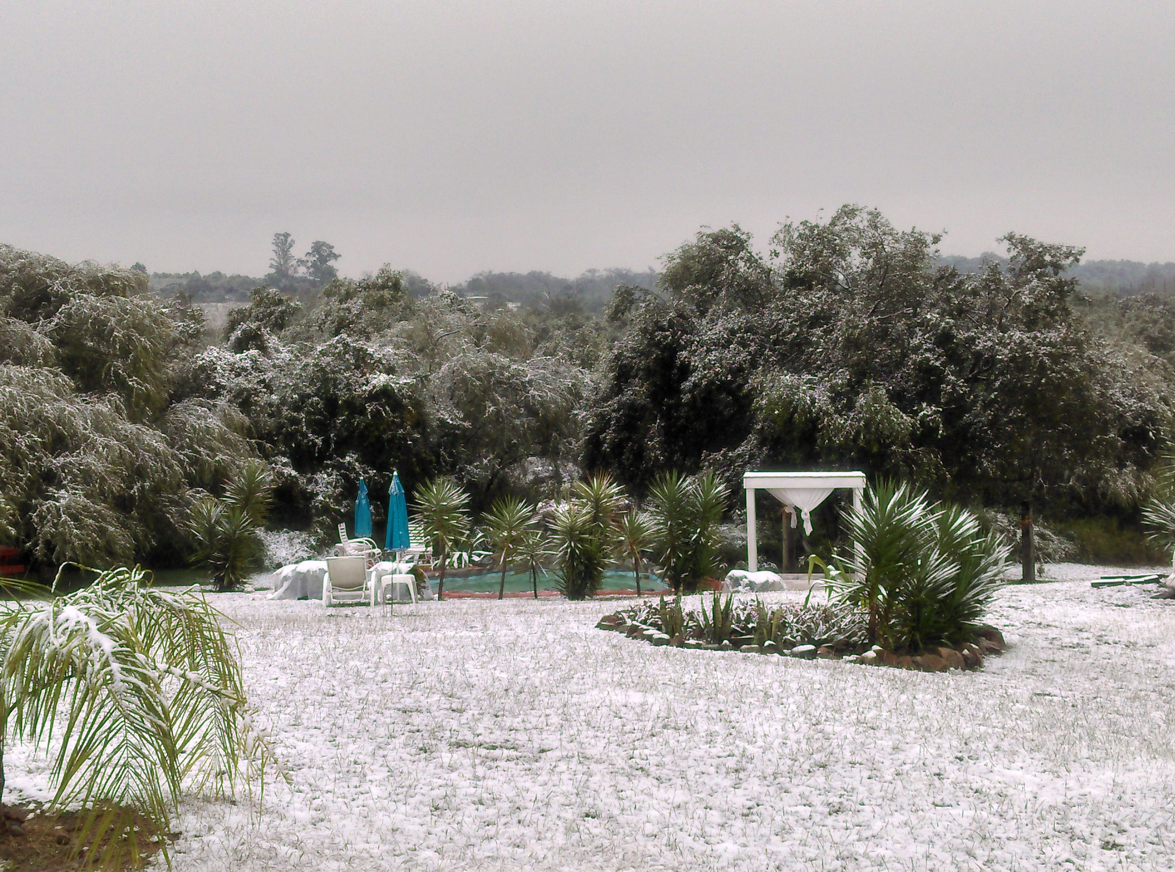 A garden with a white gazebo, palm trees, and a pool area.
