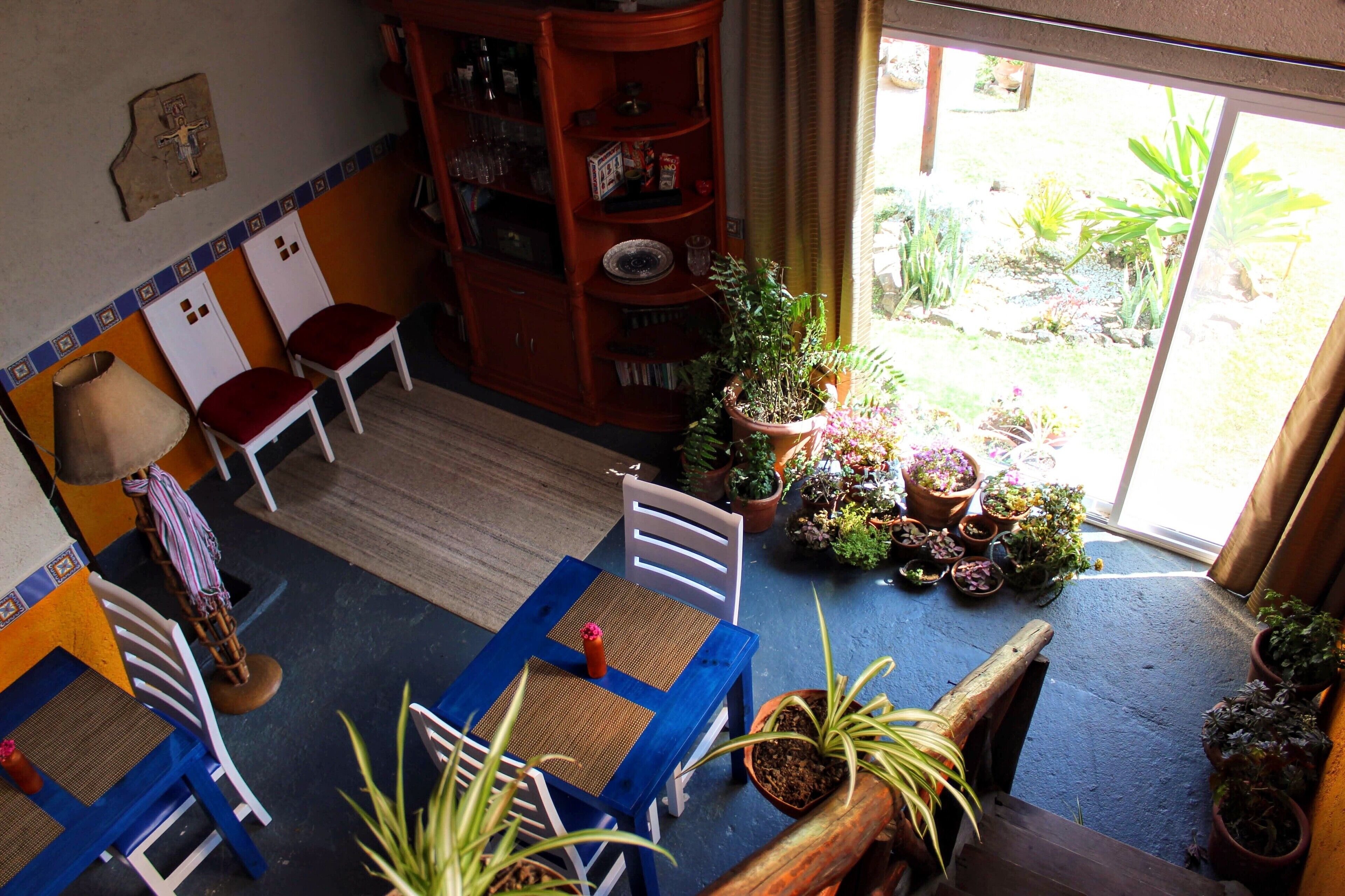 A room with a blue table, white chairs, a wooden bookshelf, and potted plants.