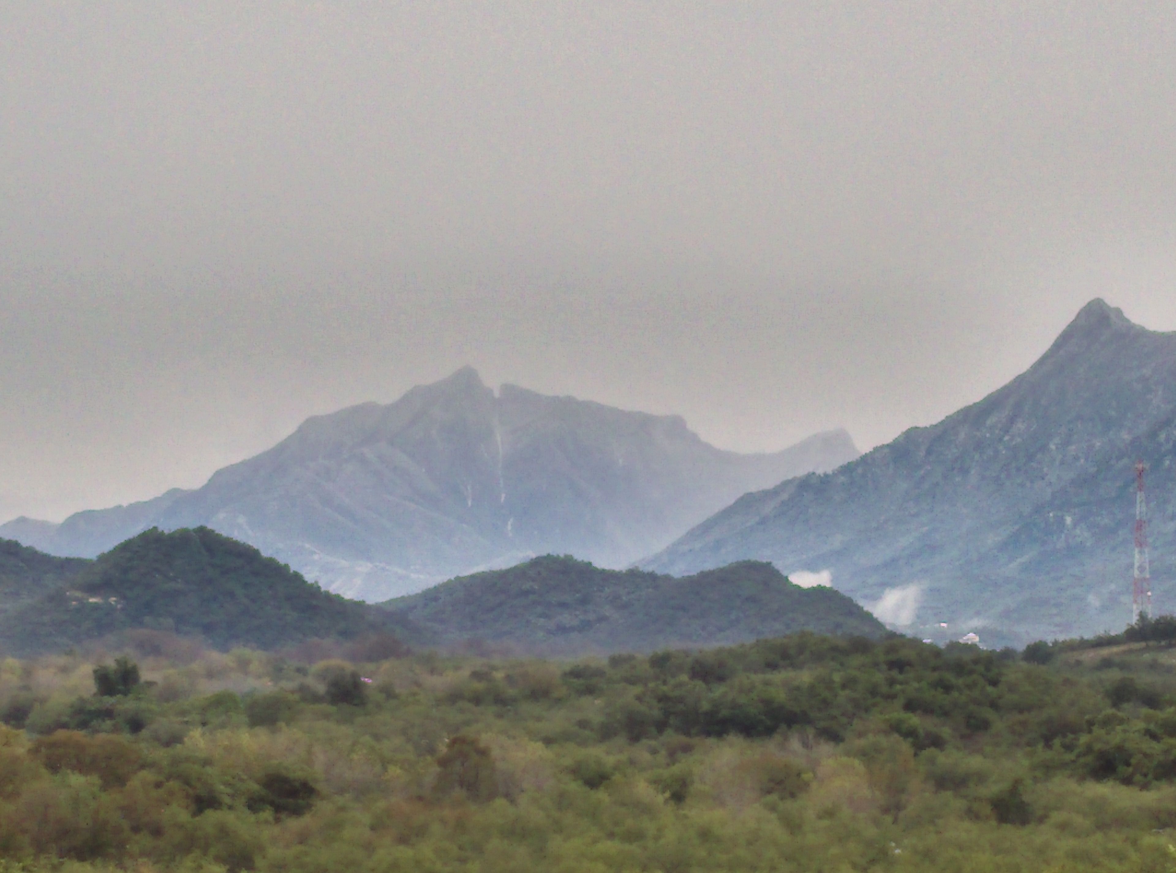A mountainous landscape with dense vegetation in the foreground and a prominent peak in the background.