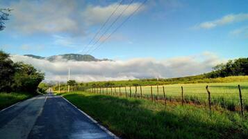 A rural road with a mountain in the background, surrounded by greenery and a fence.