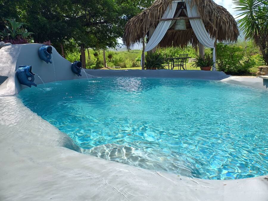 Alberca al aire libre, sombrillas en la alberca y camastros