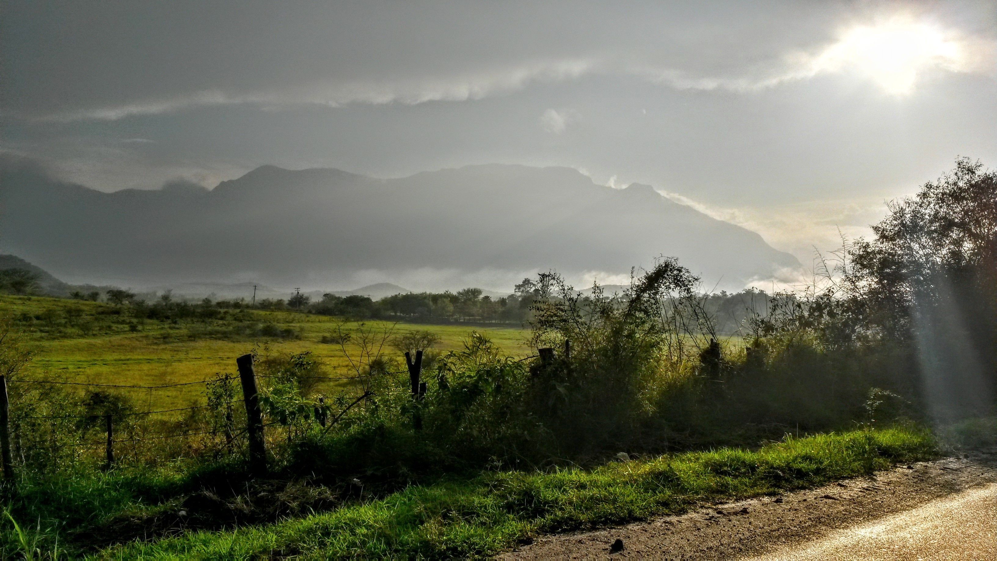 Ländliche Landschaft mit Feldweg, grünen Feldern und einer Zäunung.
