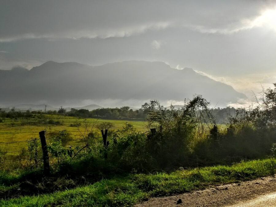 Ländliche Landschaft mit Feldweg, grünen Feldern und einer Zäunung.