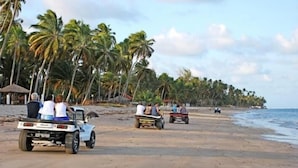 A beach with palm trees and a few vehicles on the sand. - Pousada Galemares (Maragogi)