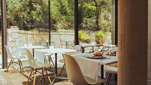 Un espace extérieur aménagé pour les repas, avec des murs en pierre, des tables et des chaises blanches.