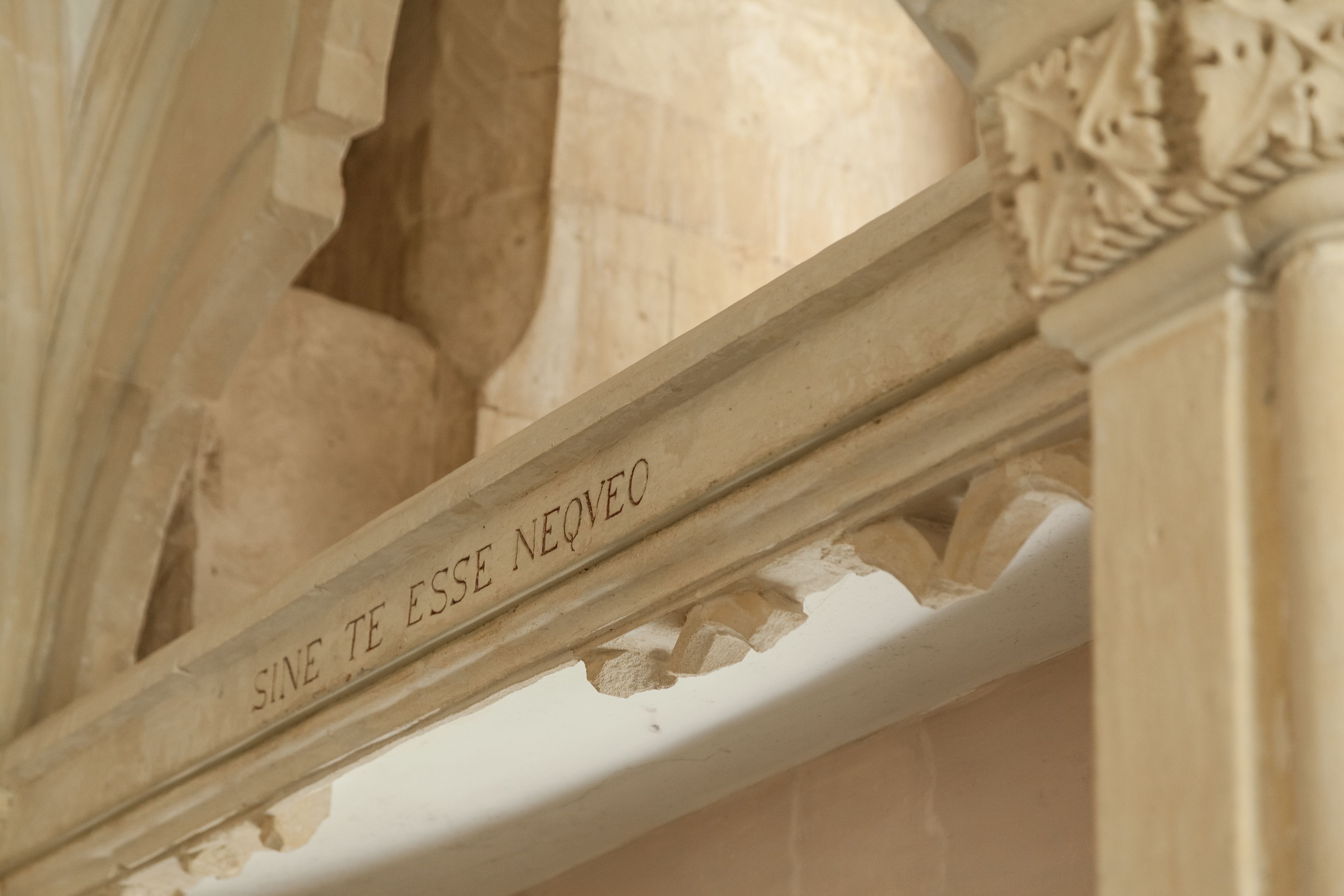 Un primo piano di un'iscrizione in pietra con la scritta "SINE TE ESSE NEQVEO".