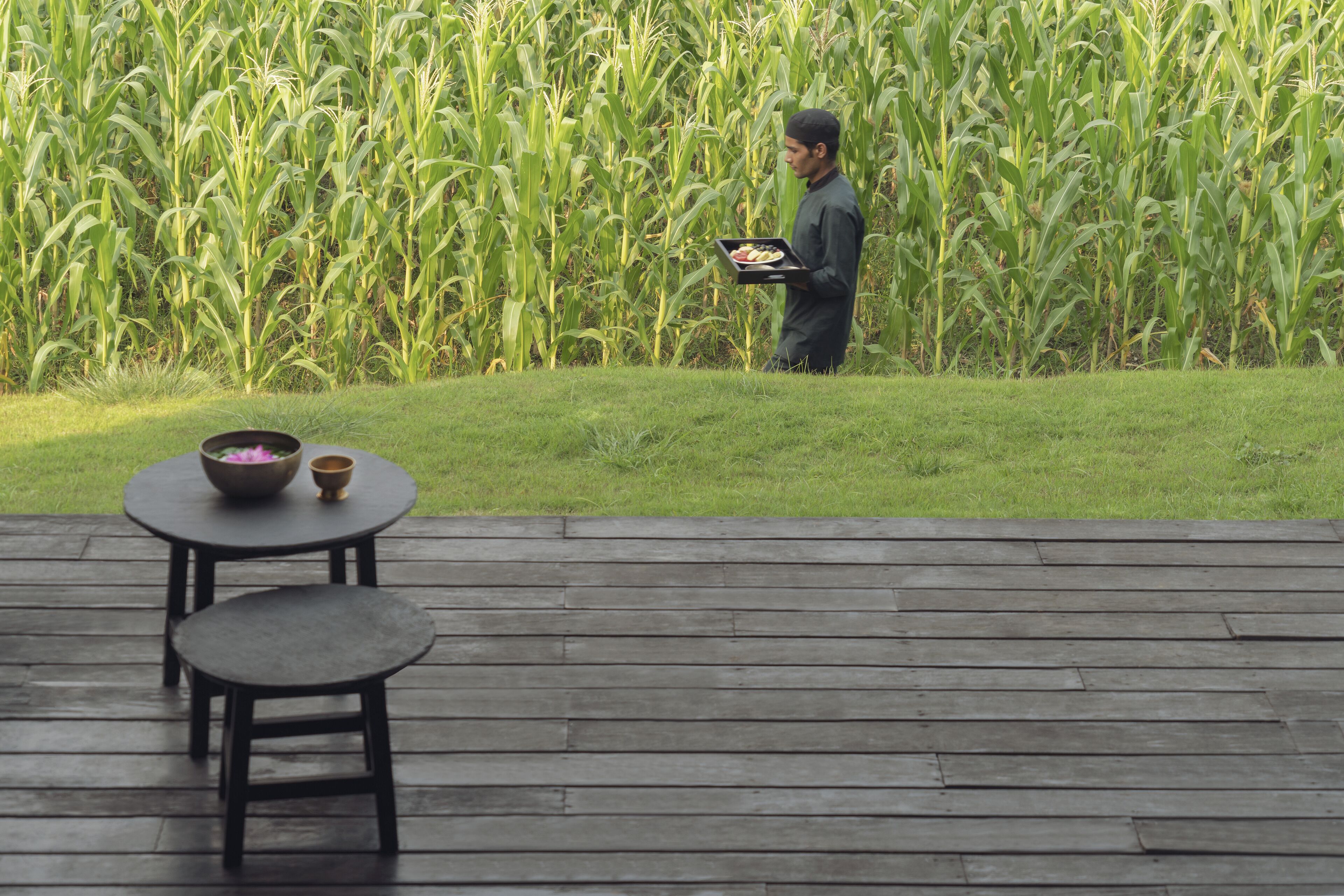 A person standing in a field of tall green plants, holding a tray with food items. In the foreground, there is a wooden deck with a round table and two chairs.