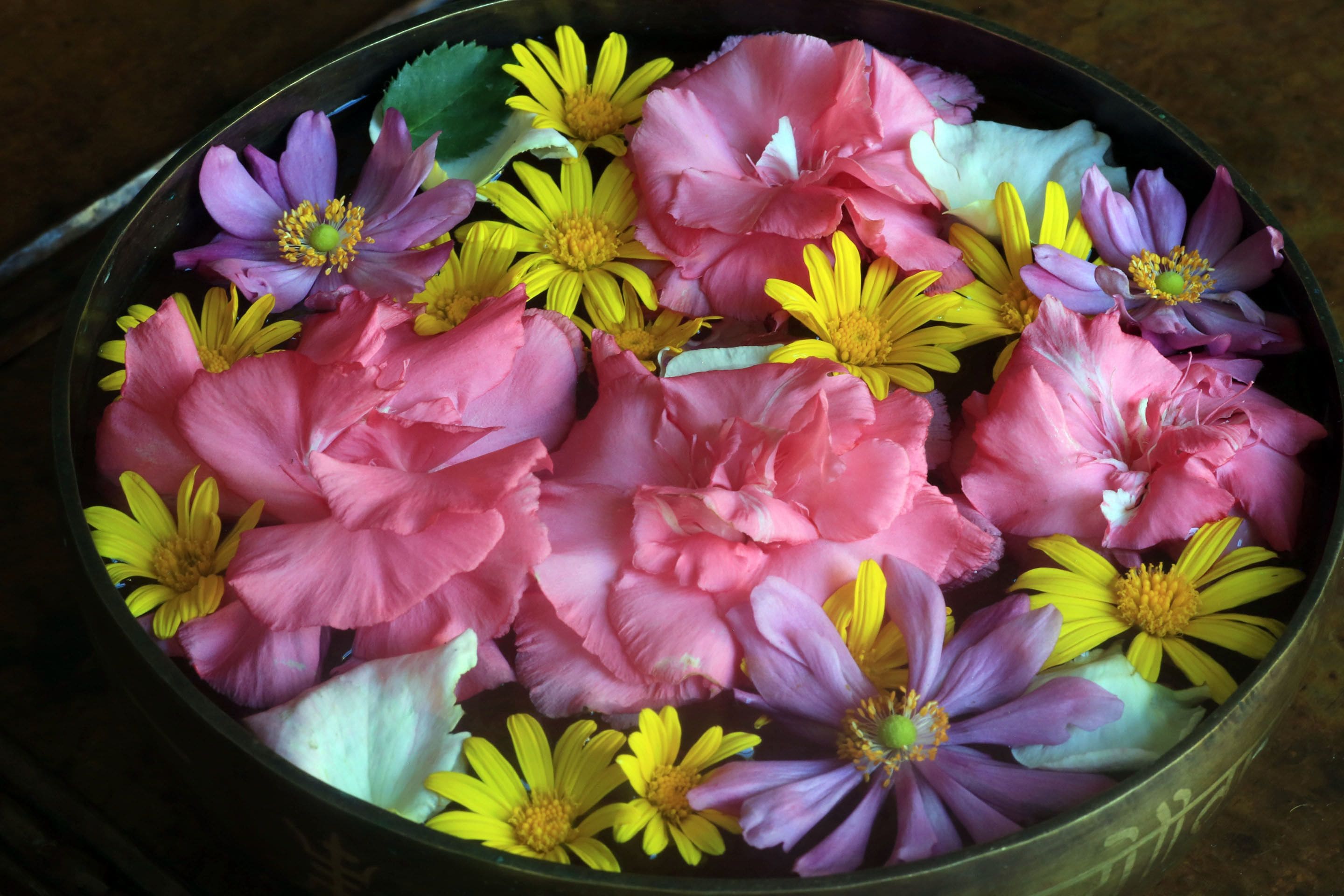 ayurvedic treatments, 2 treatment rooms, massages