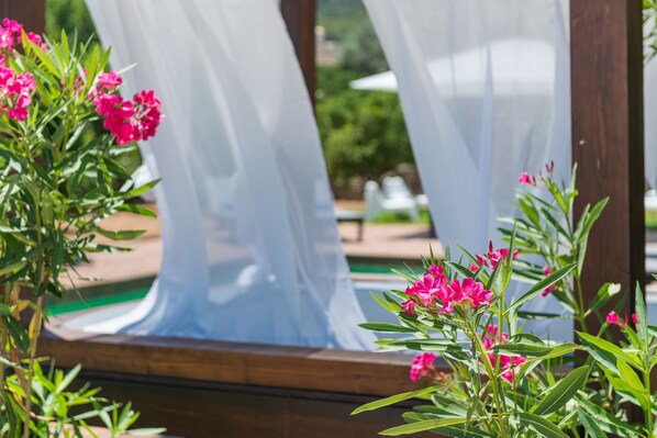 A view through a window with white curtains, a wooden frame, and pink flowers in the foreground.