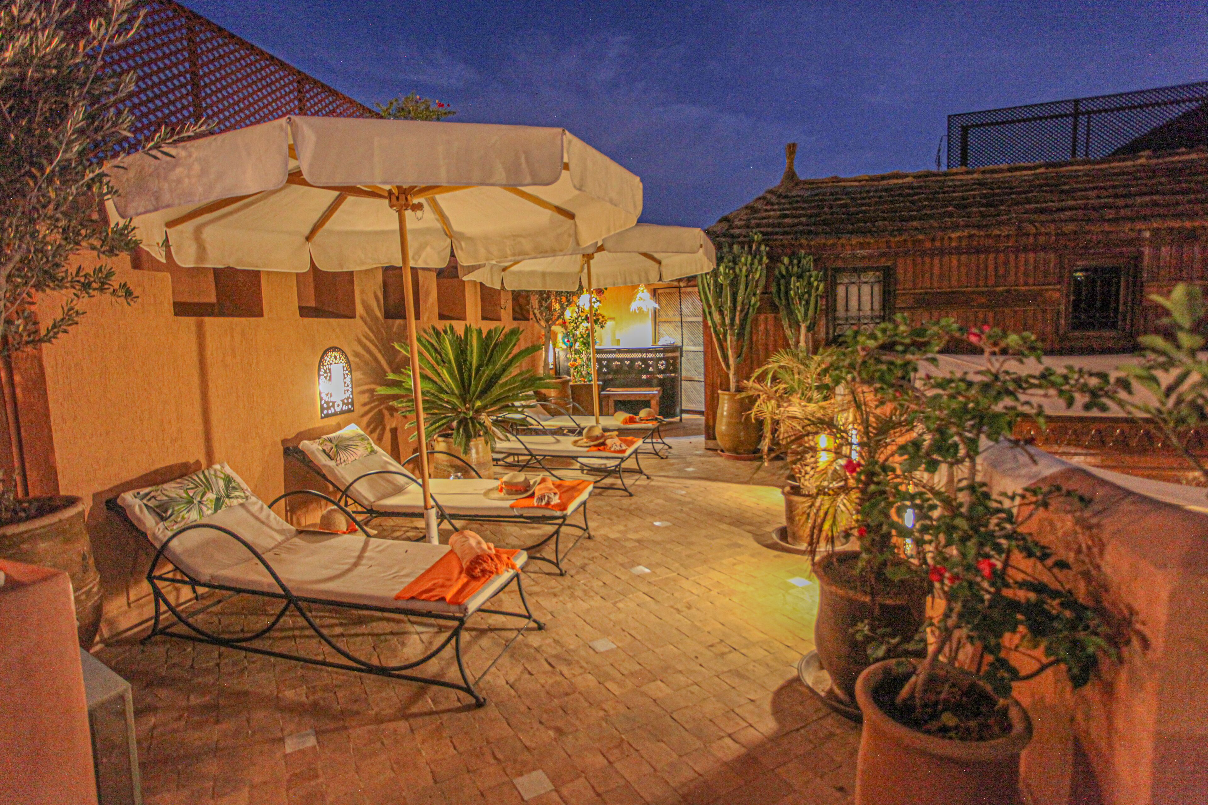 An outdoor patio area with lounge chairs and umbrellas, surrounded by potted plants and a rustic building.