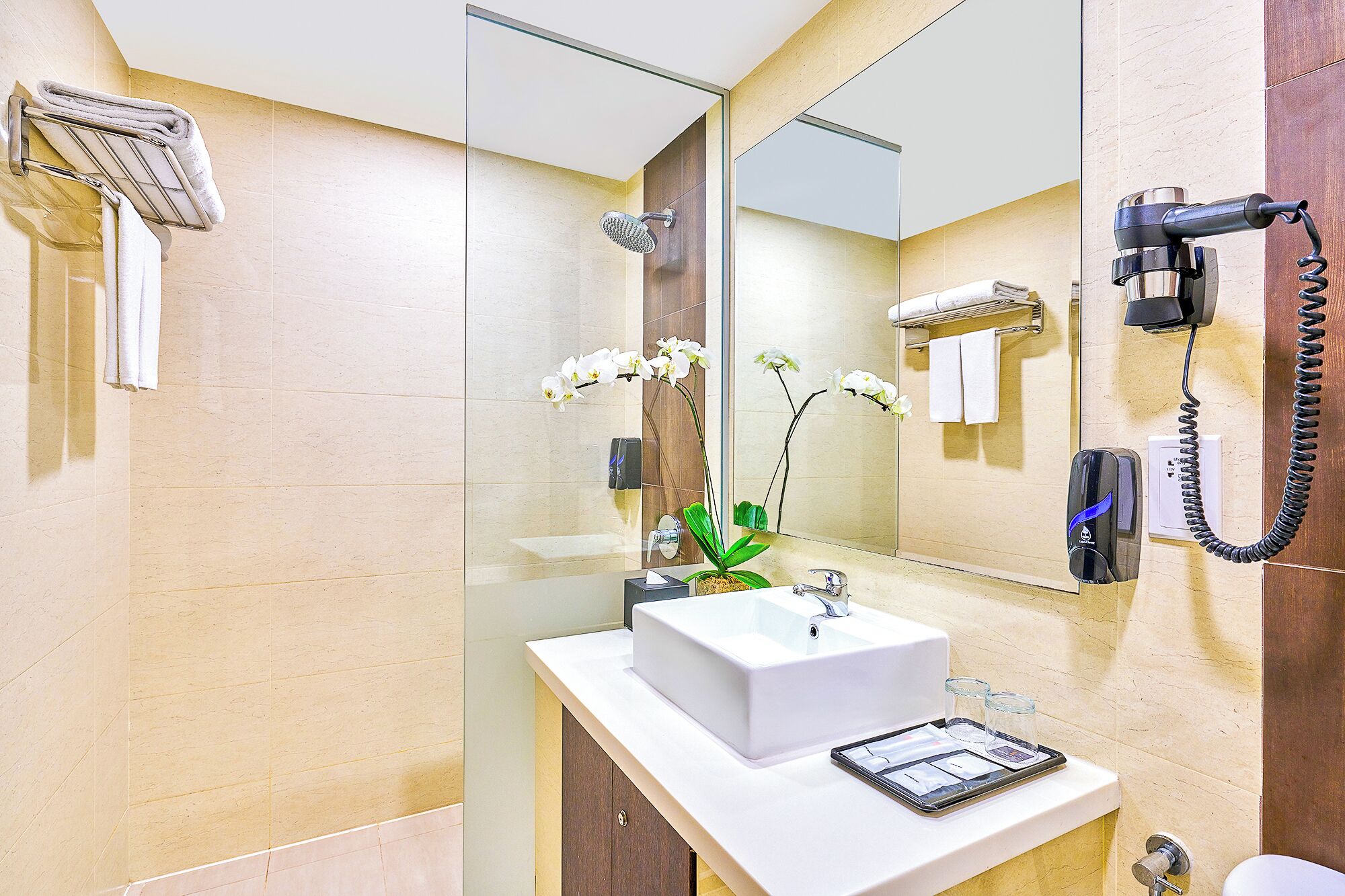 Shower, free toiletries, hair dryer, bidet