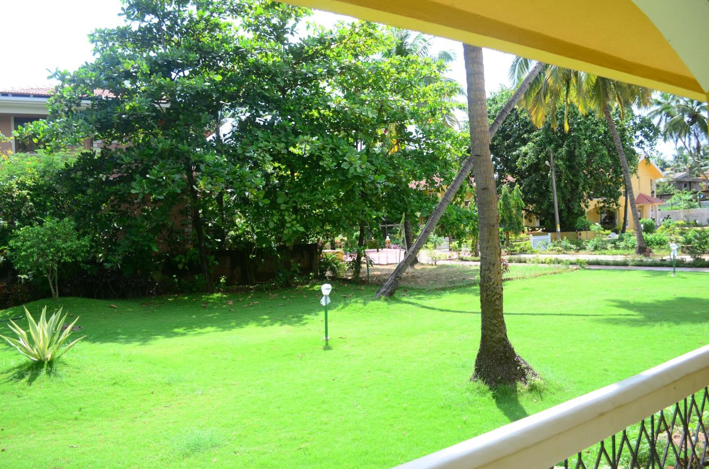 A lush green lawn with a flagpole, surrounded by dense foliage and palm trees, viewed from a balcony with a yellow awning.