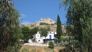 A historical building on a hill with a flag, surrounded by trees and residential buildings.