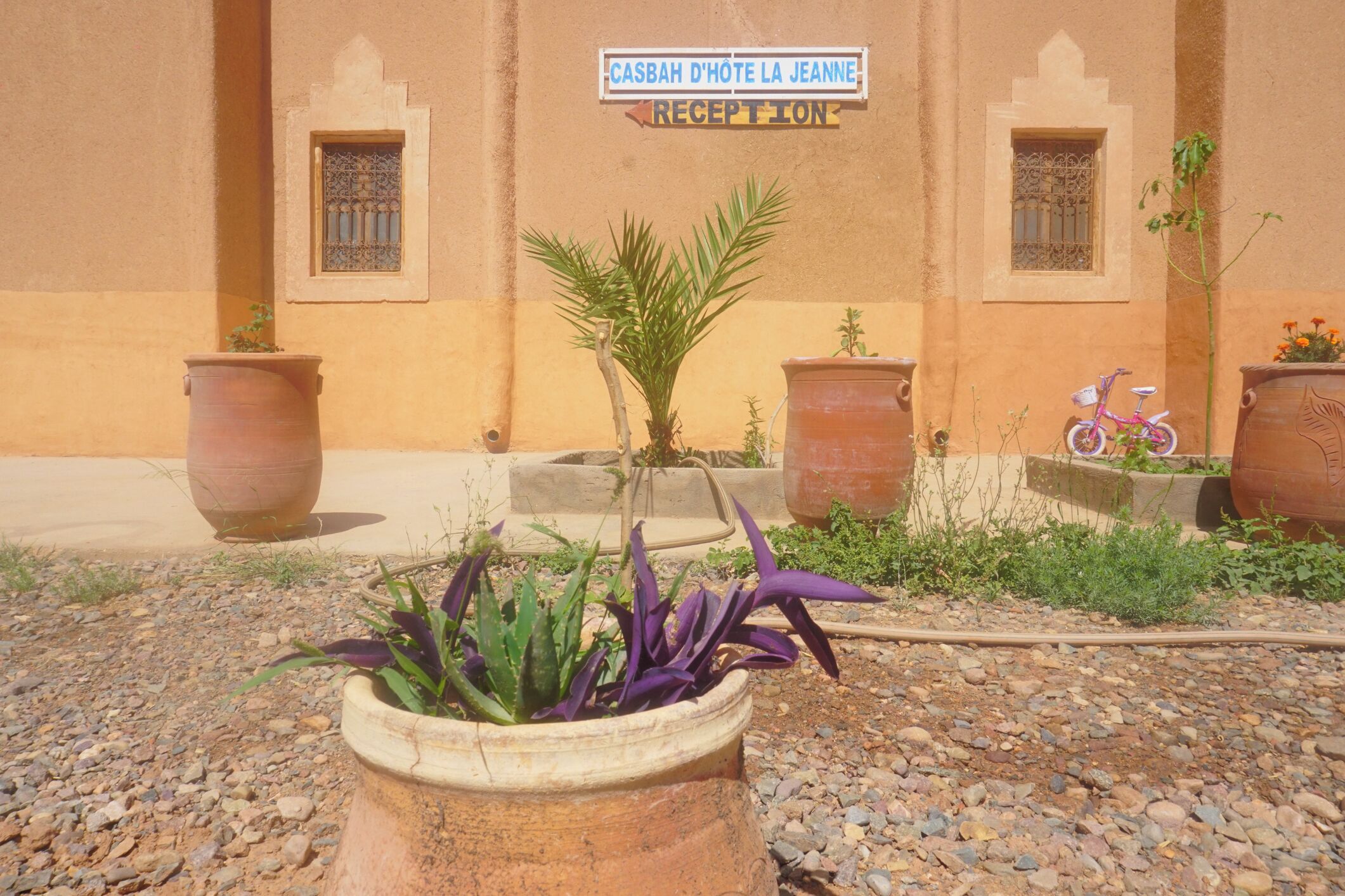 Un espace d’accueil avec une enseigne indiquant « RÉCEPTION DE L’HÔTEL CASBAH D’HOTE LA JEANNE », des plantes en pot et un vélo.
