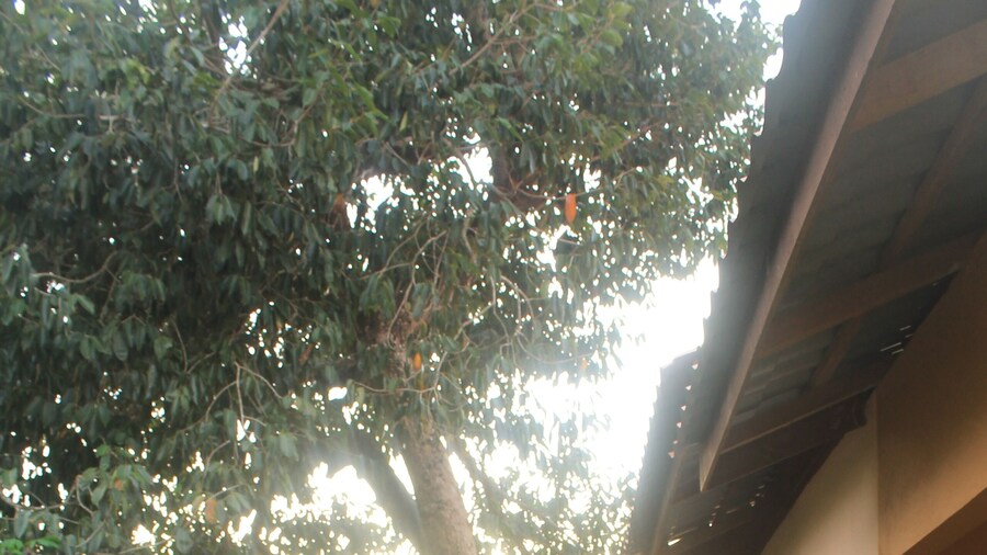 Chenang Inn