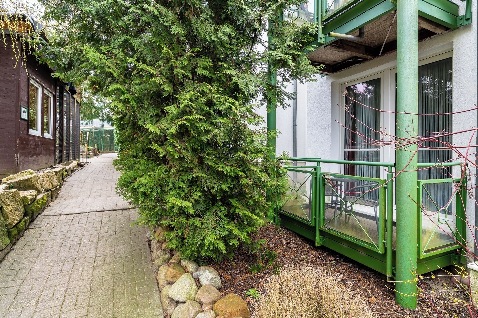 A pathway flanked by a large evergreen tree and a building with a green metal railing.