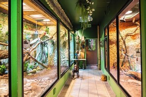 어린이 즐길거리