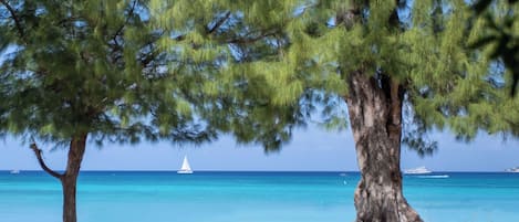 Lägenhet - 2 sovrum - havsutsikt (#7) | Utsikt mot havet/stranden