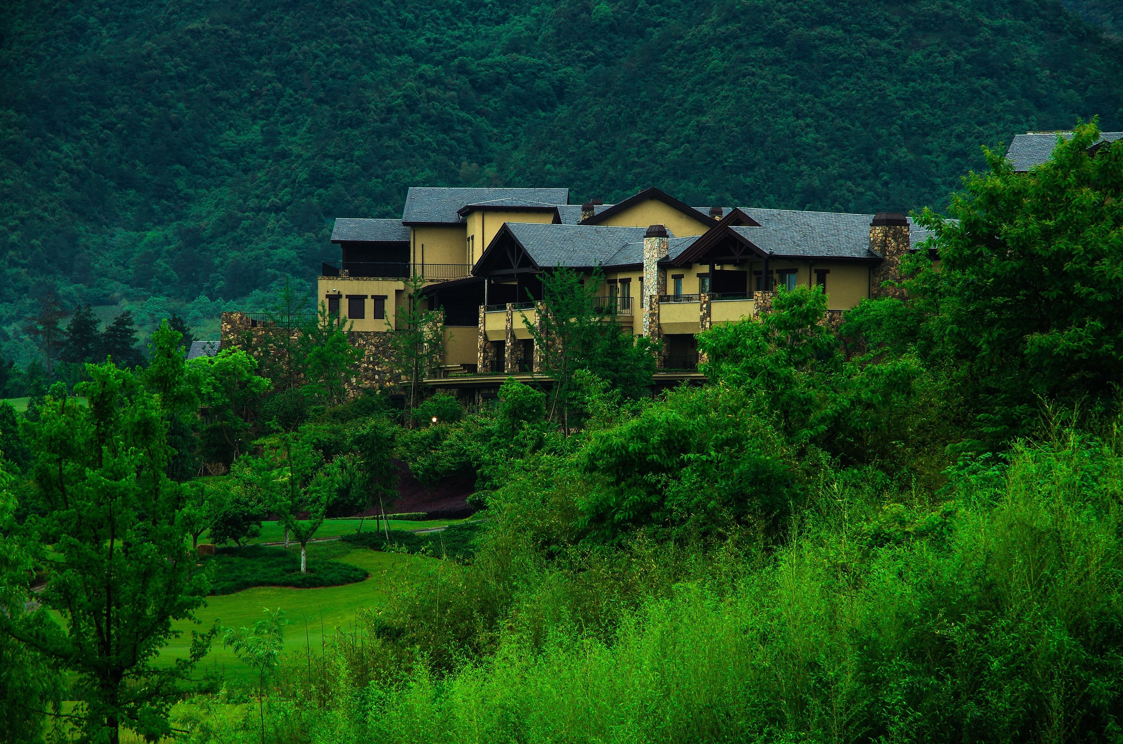 junior suite, 1 bedroom, non smoking | mountain view