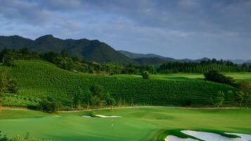 Un campo de golf con un mástil de bandera, búnkeres de arena y plantaciones de té en terrazas al fondo.