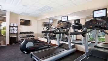 A gym with treadmills, dumbbells, and a weight bench.