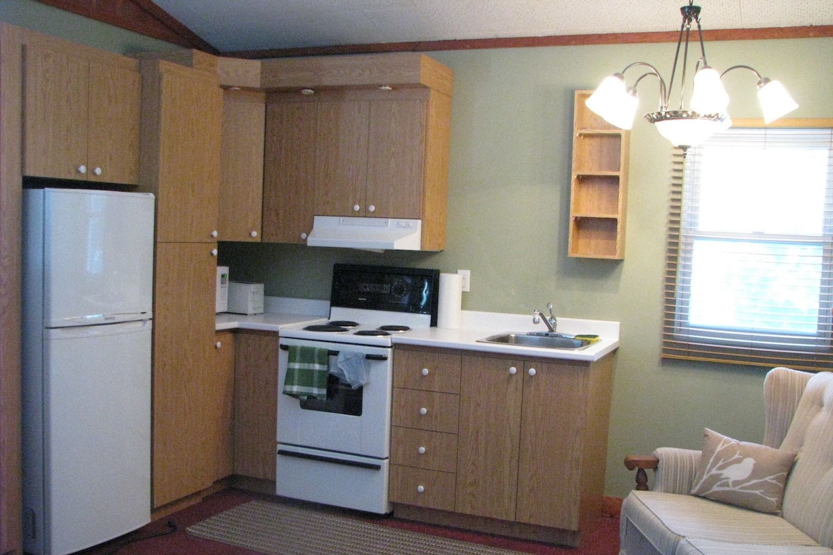 Standard Room, 1 Queen Bed, Kitchenette | Private kitchen | Fridge