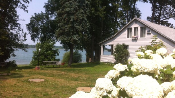 A lakeside cabin with a grassy yard, a bench, and white hydrangea bushes.