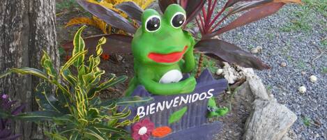 Jardín