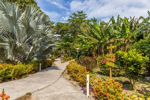 Blick auf den Garten
