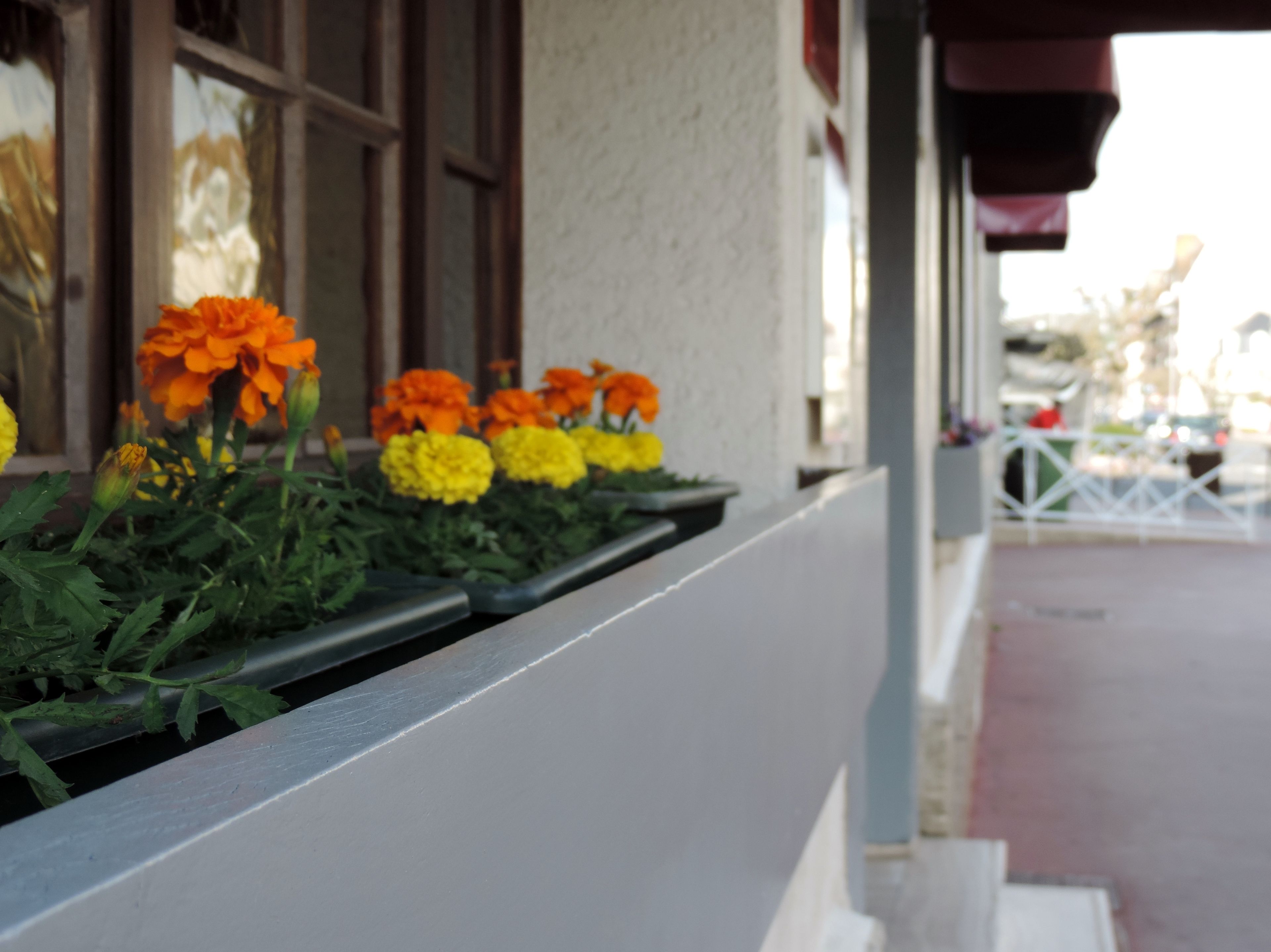 Foto - Hôtel Le Chantilly Deauville