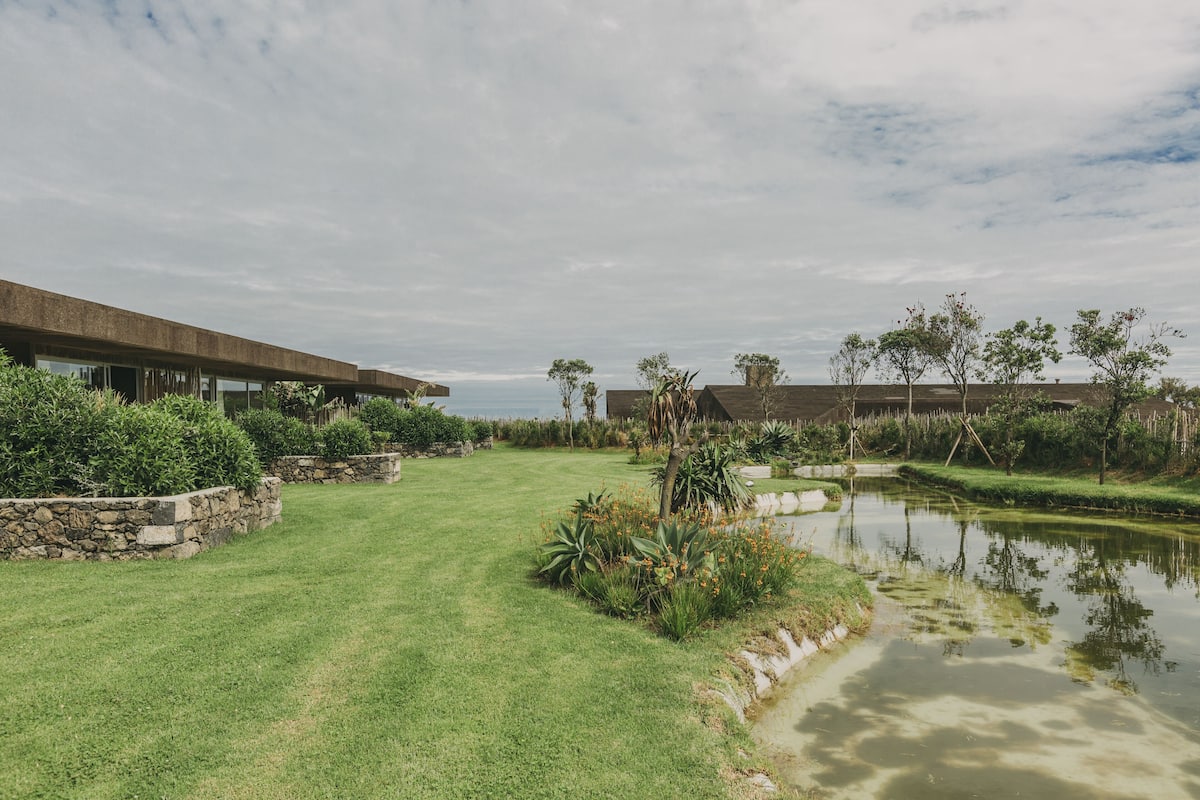 Garden view