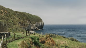 A coastal landscape with a grassy path, a wooden fence, and a cliff overlooking the sea.