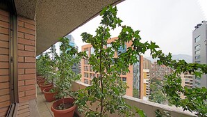 A balcony with potted plants and a view of surrounding buildings. - Trani Apart Las Condes (Santiago)