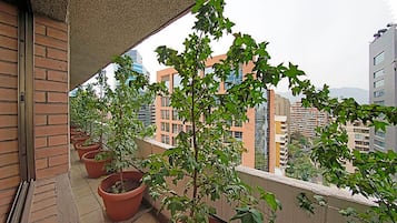 Vista desde la propiedad