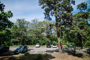 A parking lot with several cars parked, surrounded by trees and greenery. - Second Home Hotel & Apartments (Solna)