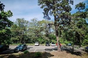 A parking lot with several cars parked, surrounded by trees and greenery.