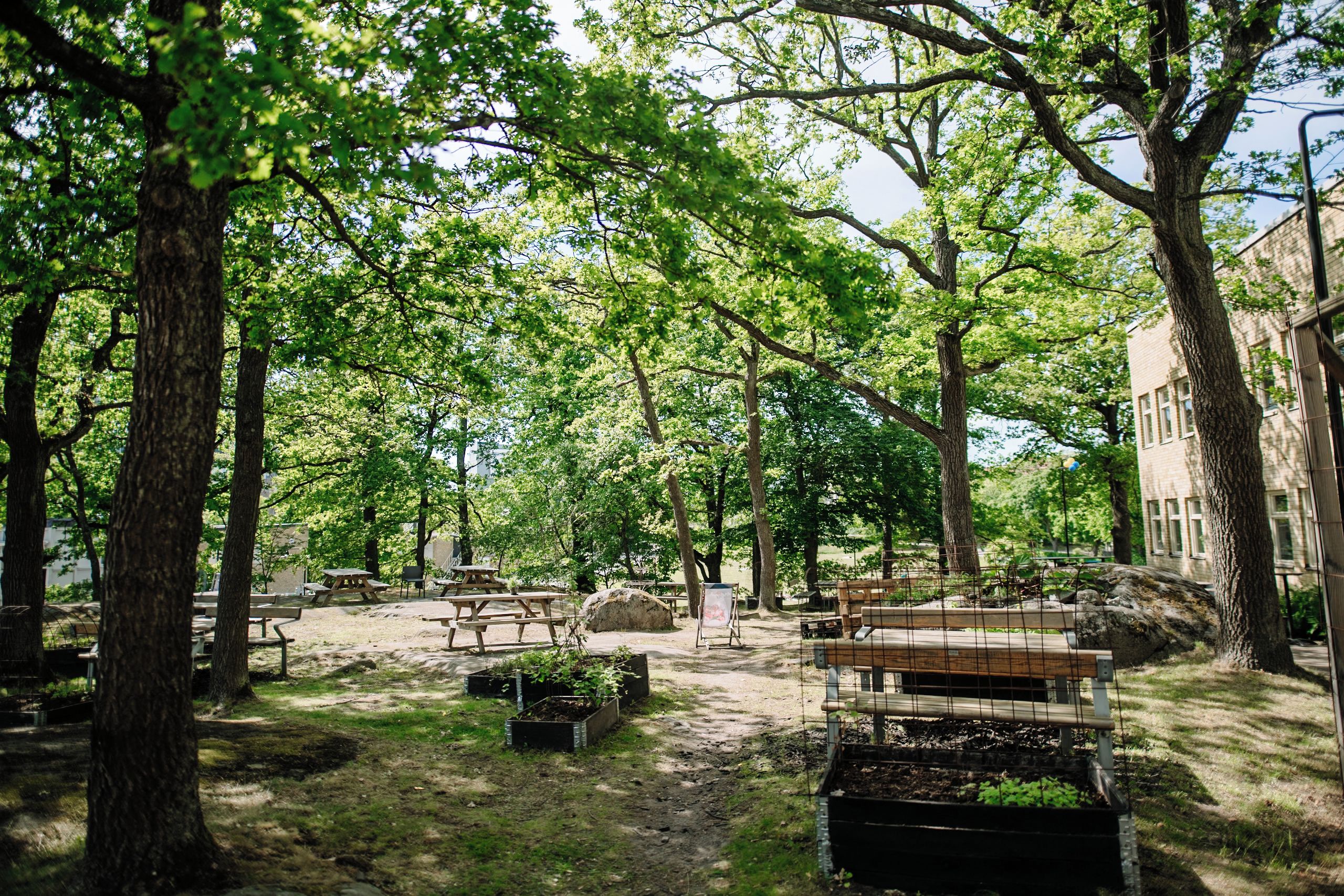 Jardín