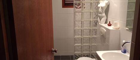 A bathroom with a toilet, a shower enclosure, a bathtub, and a mirror.