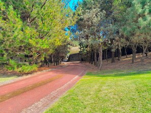 Front of property - Gala Da Vittoria (Ponta Delgada)