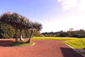 Terrace/patio - Gala Da Vittoria (Ponta Delgada)