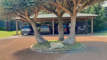 ด้านหน้าที่พัก