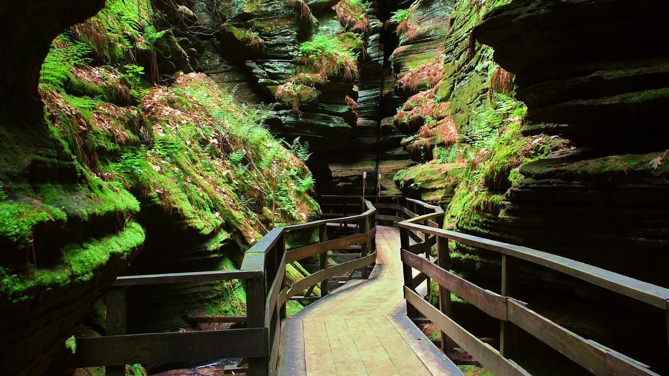Una scala in legno che conduce lungo un sentiero roccioso, dotata di ringhiere, immersa nel verde e nella vegetazione.