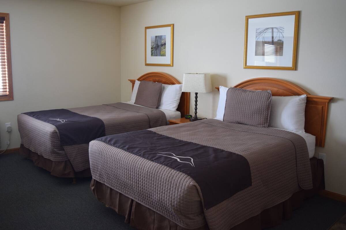 A hotel room with two beds, each with a brown bedspread and a white pillow. There are framed pictures on the wall, a nightstand with a lamp, and a window with blinds.