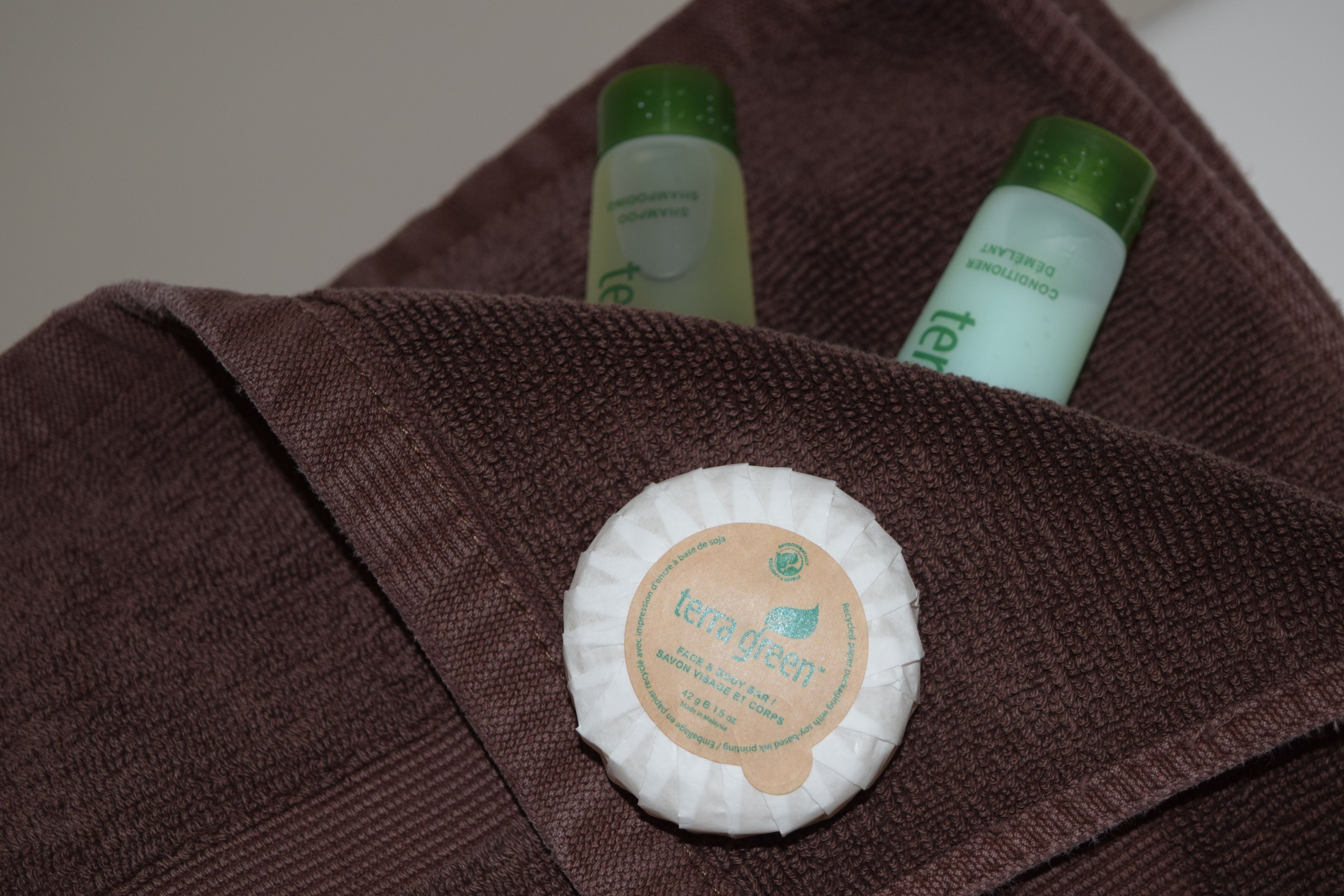 combined shower/bathtub, free toiletries, hair dryer, towels