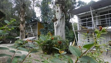 Deluxe Loft, 2 Bedrooms, Garden View | Property grounds