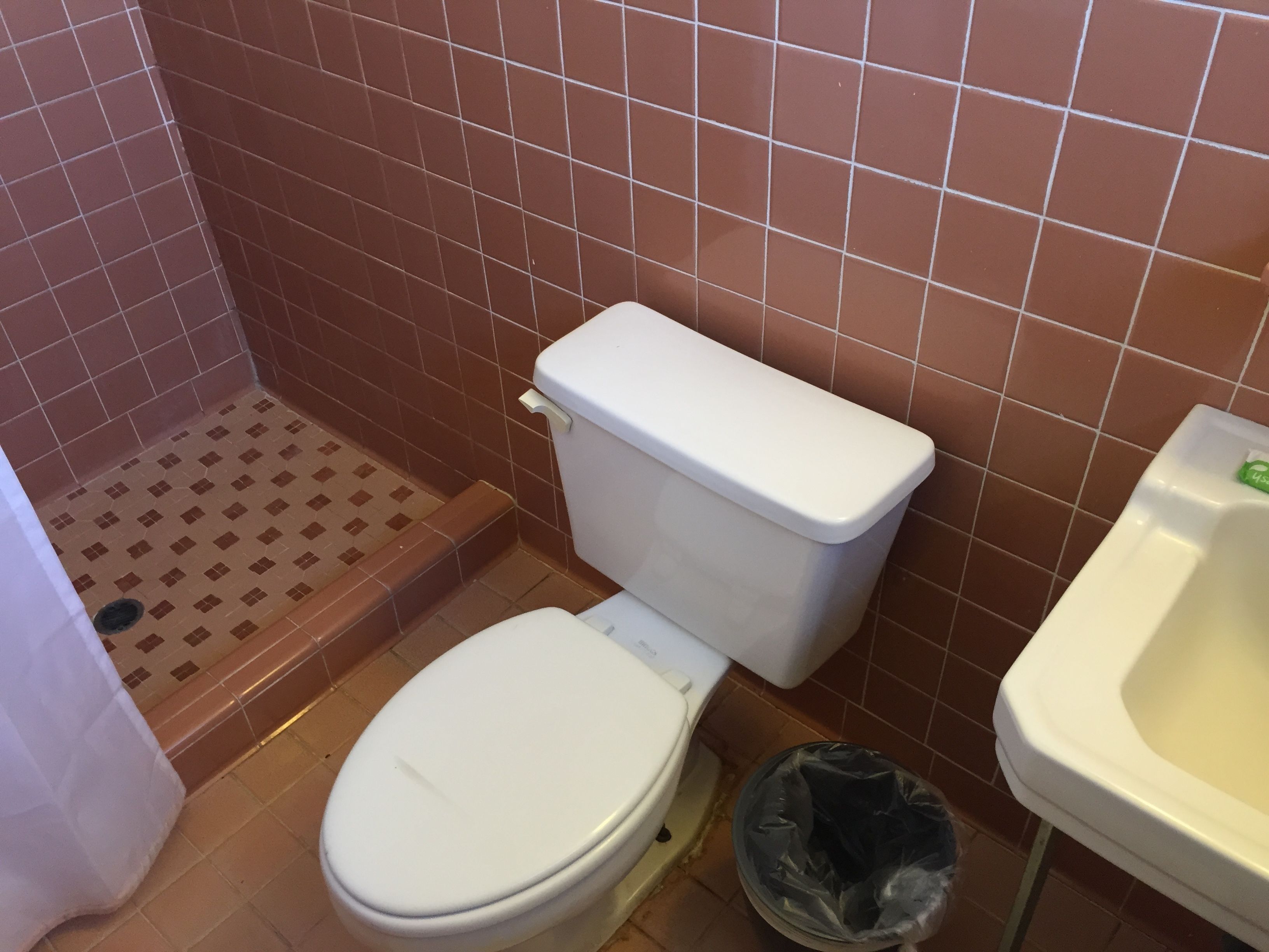 Shower, free toiletries, hair dryer