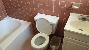 Shower, perlengkapan mandi gratis,  dan pengering rambut