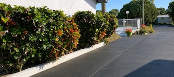 Sebring Inn